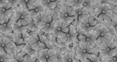 fondo de patrón de flor de cosmos gris. arte o abstracto de flora gris, papel tapiz natural floral y hermoso. foto