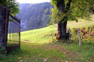 viaje a sankt-wolfgang, austria. las puertas de hierro en el prado verde con las montañas al fondo en el día soleado. foto