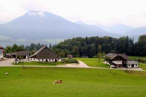 Travel to Sankt-Wolfgang, Austria. The view on the green meadow with the cows, with the houses, a lake and the mountains on the background. photo