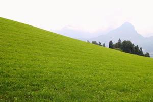 viaje a sankt-wolfgang, austria. la vista sobre el prado verde con las montañas al fondo. foto