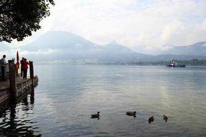 Travel to Sankt-Wolfgang, Austria. The ducks on the lake Wolfgangsee near to mountains in the cloudy weather. photo