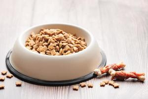 A bowl of dog food on a wooden floor. photo