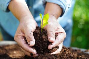Tree growing with hand, eco earth day, save world, save earth, go green photo