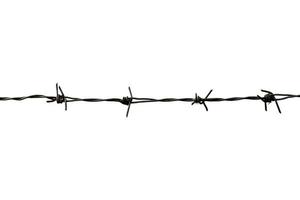 barbed wire isolated on white with clipping path photo