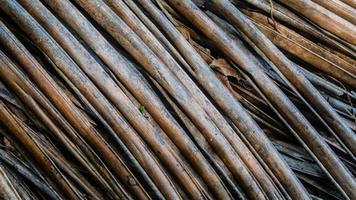 dry palm leaves texture as background photo