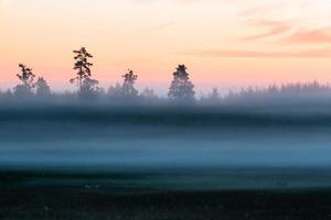 Latvian summer landscapes photo