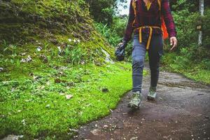 mujer asiática viajes naturaleza. viajar relajarse. caminar estudiar el camino naturaleza en el bosque