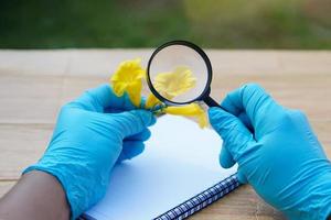 Student  hands in protective gloves hold magnifying glass to inspect flowers, holds pen to write on paper. Concept, science subject, project work. Experiment, education, learning by doing approach. photo