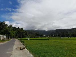 Natural landscapes, rice paddies, coconut trees and skies in Lombok Island, Indonesia photo