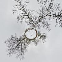 winter tiny planet transformation of spherical panorama 360 degrees. Spherical abstract aerial view in oak forest with clumsy branches. with snow. Curvature of space. photo
