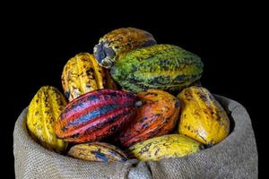 fruta de cacao aislada en saco de cáñamo sobre un fondo negro. enfoque suave y selectivo. foto