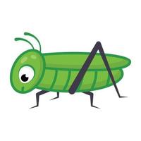 Herbivorous insects, flat cartoon icon of orthoptera vector
