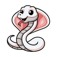 Cute leucistic cobra snake cartoon vector