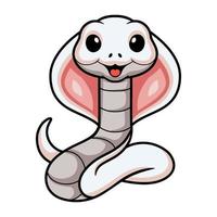 Cute leucistic cobra snake cartoon vector