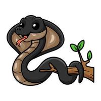 Cute javan spitting cobra cartoon on tree branch vector