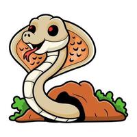 Cute albino monocled cobra cartoon out from hole vector