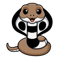 Cute indian king cobra cartoon vector