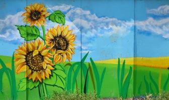 The old wall, painted in color graffiti drawing with aerosol paints. An image of a traditional Ukrainian landscape with sunflowers, kalina and a mill in a field photo