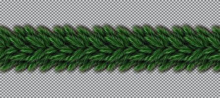 Border with Christmas Tree Branches on Transparent Background. vector