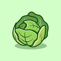 cute cabbage illustration in cartoon style on isolated background vector