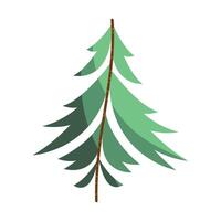 pine branch with leafs vector