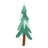 pine tree plant vector