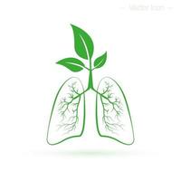 pulmones humanos sanos. concepto de salud, aire limpio y protección forestal. ilustración vectorial aislada vector