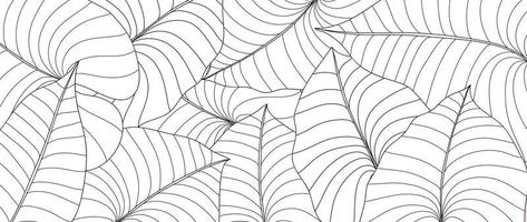 Hand drawn line art leaf branch background vector. Tropical botanical palm leaves with black white drawing contour simple style background. Design illustration for prints, wallpaper, poster, card. vector
