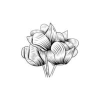 beauty flower line art style illustration design vector