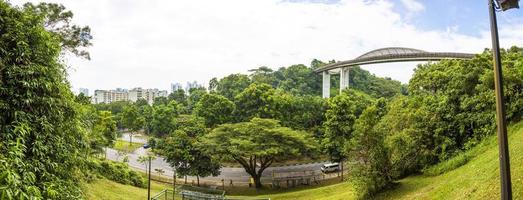 vista sobre el puente peatonal henderson wave en singapur durante el día foto