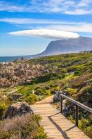 Coastal section of the Garden Route in South Africa photo