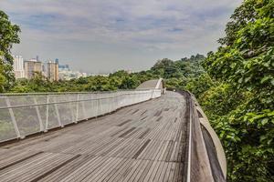 vista sobre el puente peatonal henderson wave en singapur durante el día foto