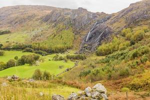 Typical Irish landscape with green meadows and rough mountains during daytime photo