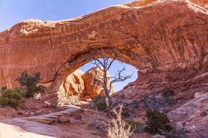 Panoramic picture of natural and geological wonders of Arches national park in Utah in winter photo