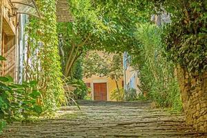 Picture of a romantic cobblestone street overgrown with trees and leaves in the medieval town of Motovun in central Istria during the day photo