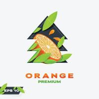 Christmas Icon Orange Fruit Edition vector