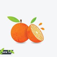 fruta fresca de naranja vector