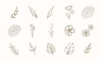 Set of line art floral botanical abstract flowers and branches. Outline design elements isolated on background, vector illustration