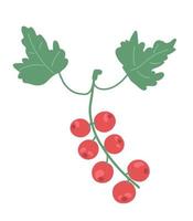 Berries red currant. Illustration of red berries on a twig vector