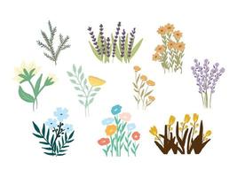 dibujado a mano ilustración de vector de colección de flores y hojas de primavera