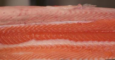 färsk rå lax fisk biff på topp av en vit tabell. - panorering skott video