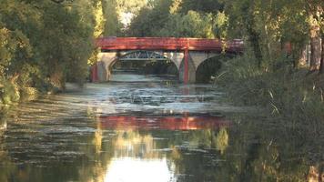 A stunning view of calm river waters of Leiria, Portugal with birds landing on the concrete wall and water with a small bridge in the distance video