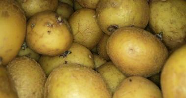 A Golden Brown Freshly Picked Potatoes In A Box - Wide Shot video