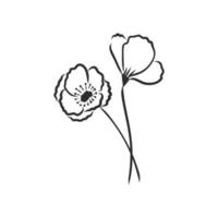 flower vector sketch