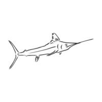 dibujo vectorial de pez sierra vector