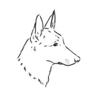 dog vector sketch