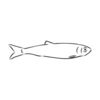 dibujo vectorial de pescado vector