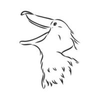 shoebill bird vector sketch