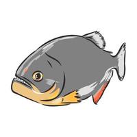 piranha vector sketch