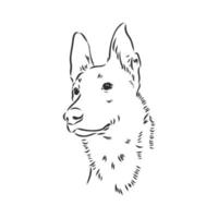 dog vector sketch